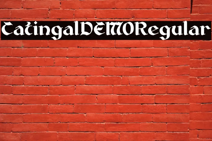 Catingal DEMO Regular Example 3