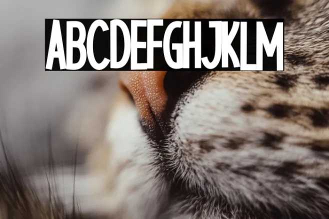 Catlike Example 3