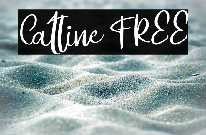 Catline FREE Example 1