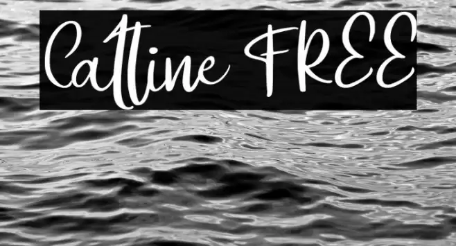 Catline FREE Font examples