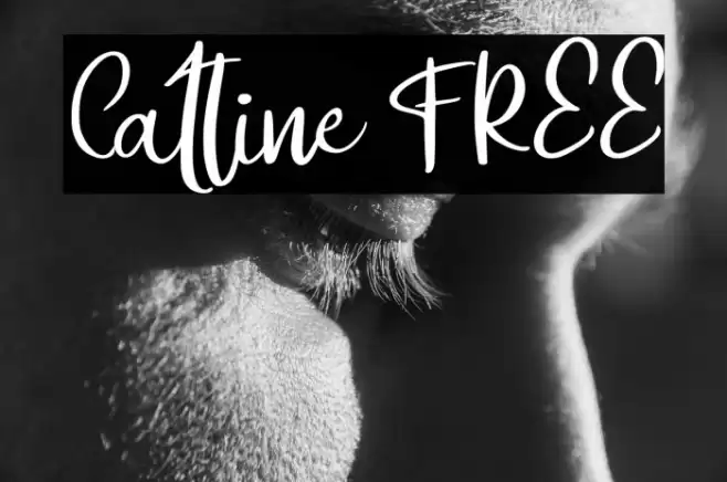 Catline FREE Font examples