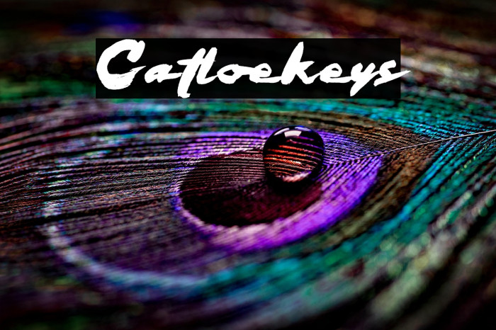 Catloekeys Example 2