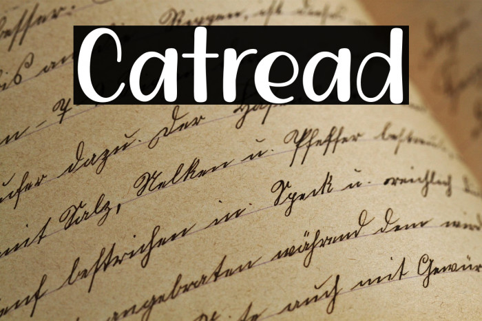 Catread Example 1