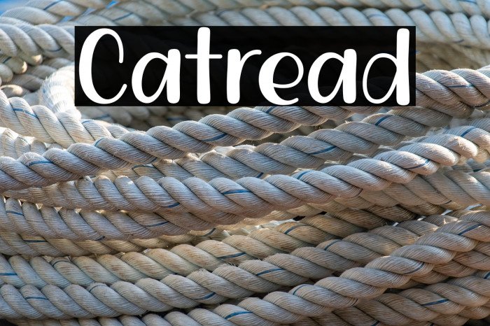Catread Example 2