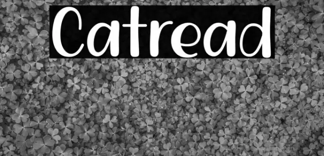 Catread Caratteri examples