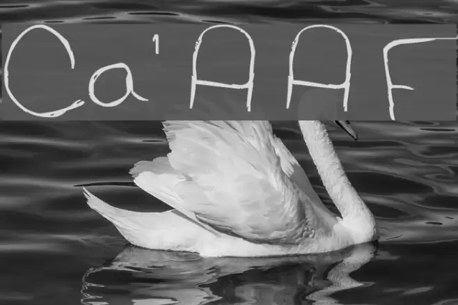 Cat's Awesomely Awesome Font Font examples