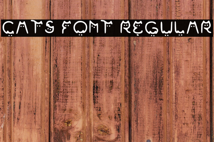 Cats Font Regular Example 1