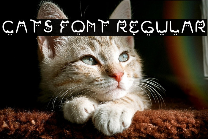 Cats Font Regular Example 2