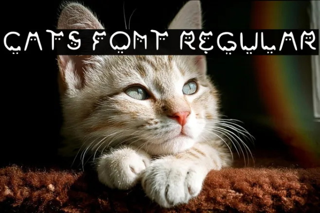 Cats Font Regular Example 2