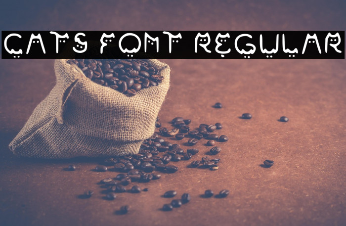 Cats Font Regular Example 3