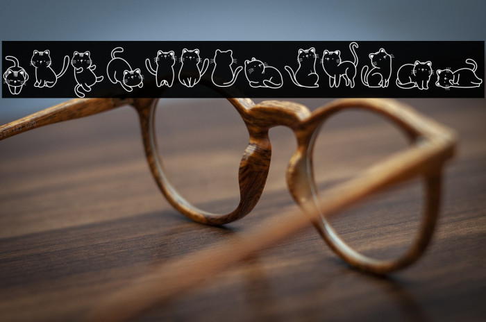 Cats Lover Example 3