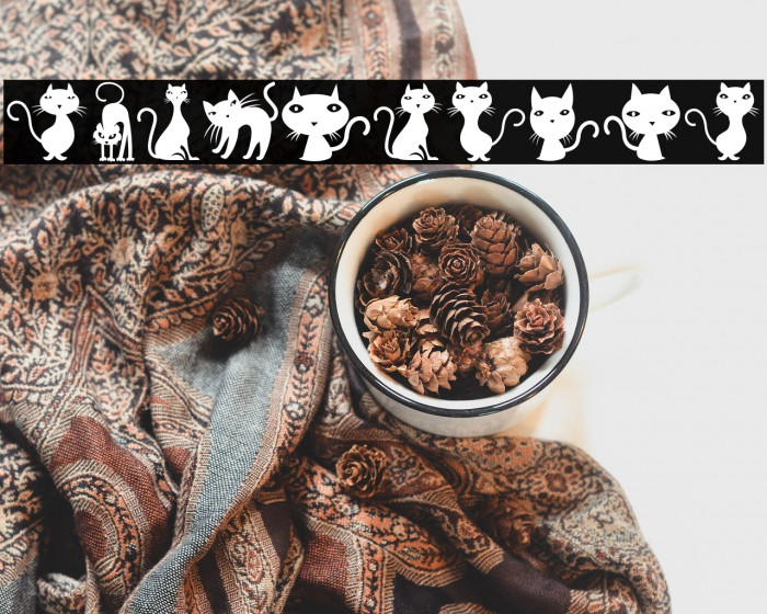 Cats Regular Example 1