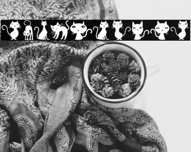 Cats Regular Font examples