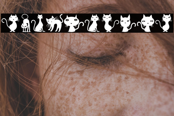 Cats Regular Example 2