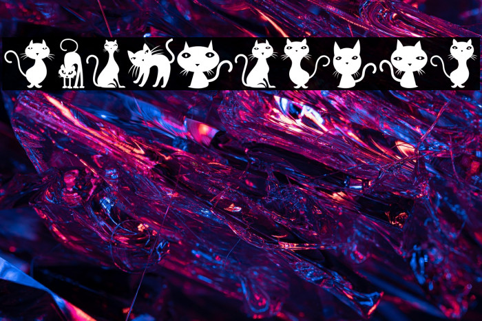 Cats Regular Example 3