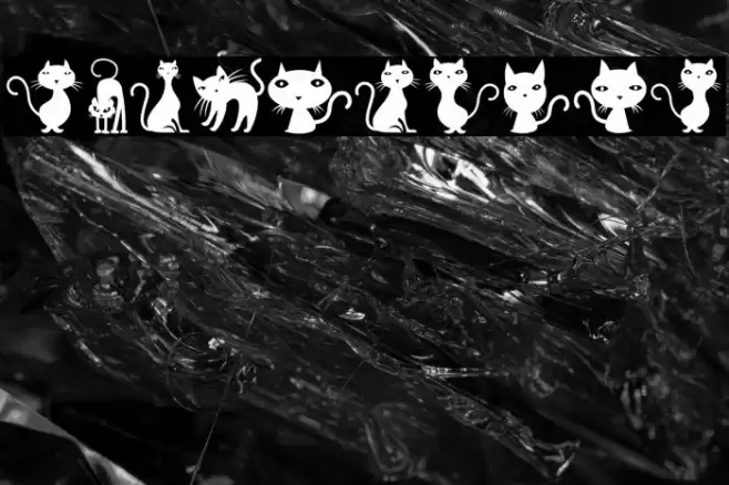 Cats Regular Font examples