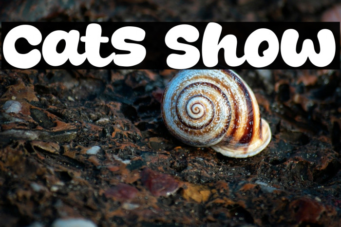 Cats Show Example 2