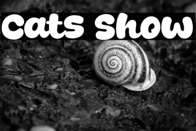 Cats Show Font examples