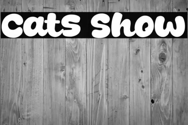 Cats Show Font examples