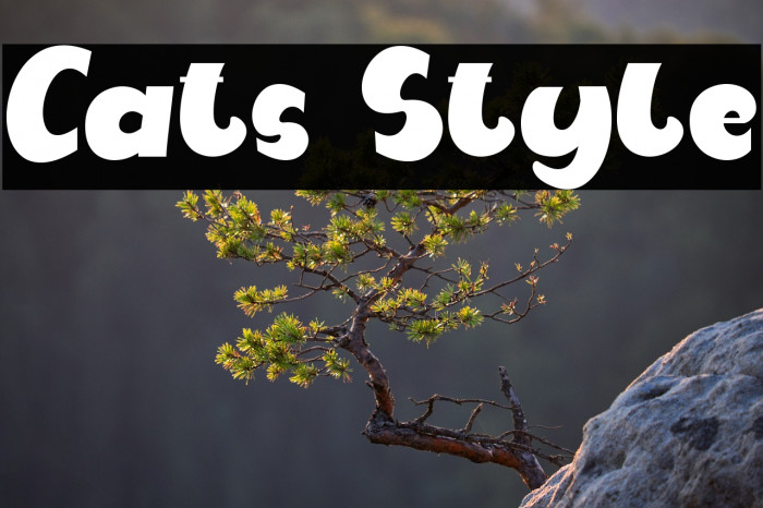 Cats Style Example 1