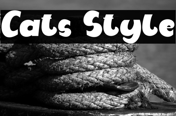Cats Style Example 2