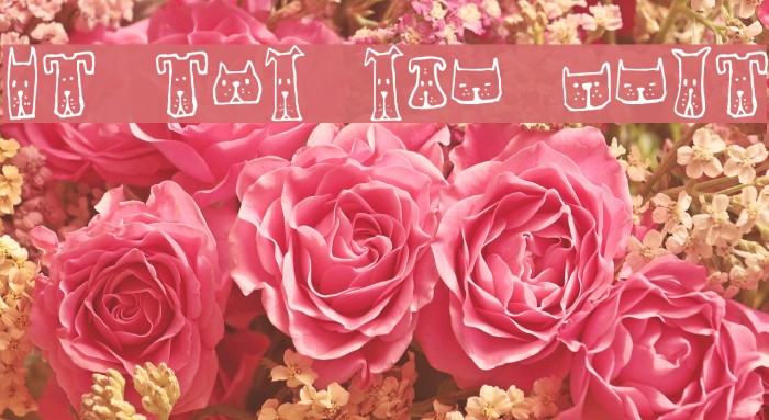 Cats and Dogs Regular Example 1