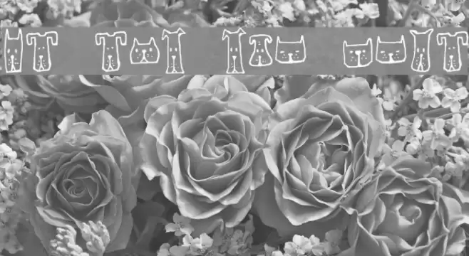 Cats and Dogs Regular Font examples