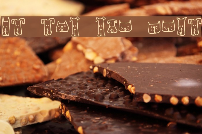 Cats and Dogs Regular Example 2