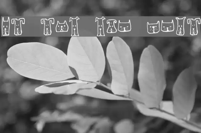 Cats and Dogs Regular Font examples