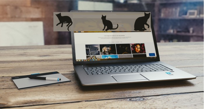 Cats vs Dogs LT Font examples