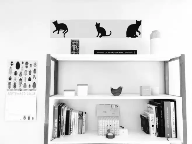 Cats vs Dogs LT Caratteri examples