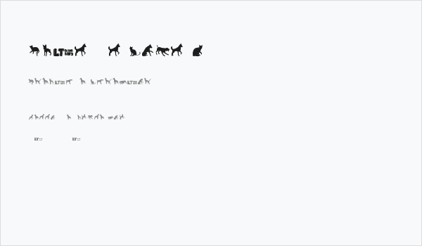 Cats vs Dogs LT Business Card