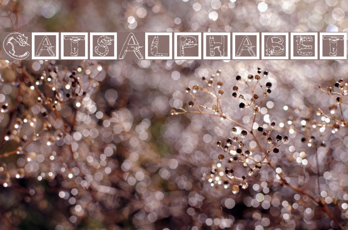CatsAlphabet Font examples