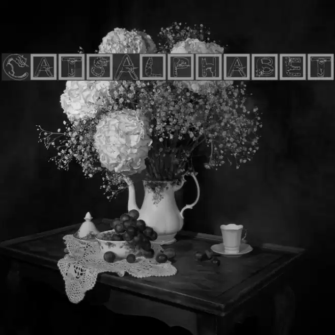 CatsAlphabet Font examples