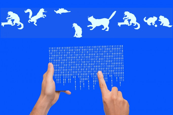 CatsCo Font examples