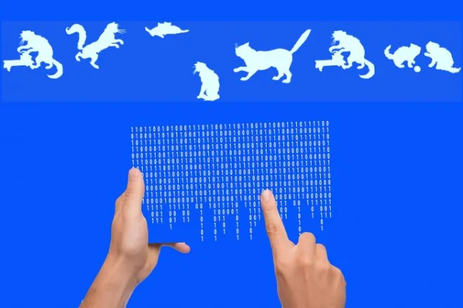 CatsCo Example 1