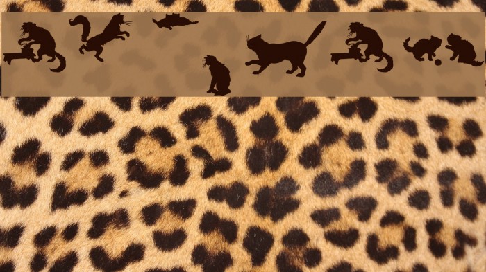 CatsCo Font examples