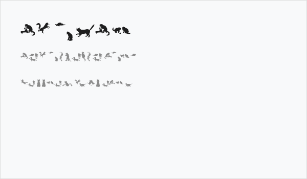 CatsCo Business Card