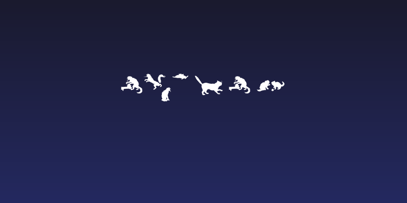 CatsCo Social Header