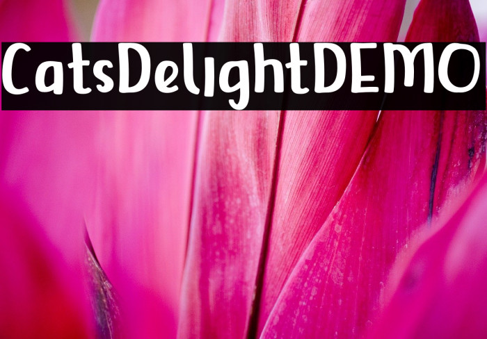 CatsDelightDEMO Font examples