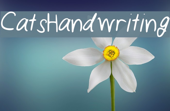 CatsHandwriting Example 1