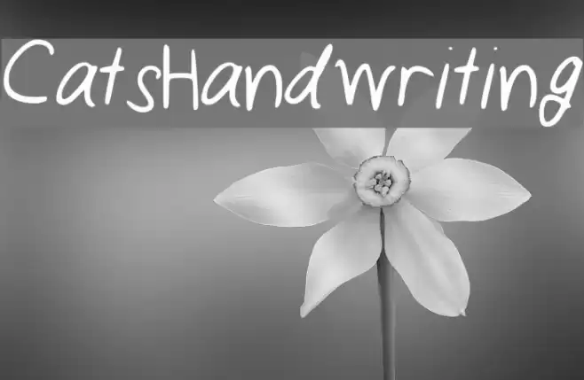 CatsHandwriting Font examples