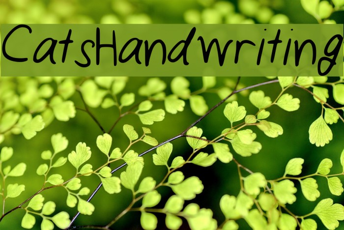 CatsHandwriting Example 2
