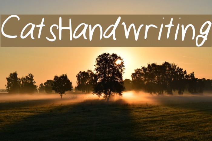 CatsHandwriting Example 3