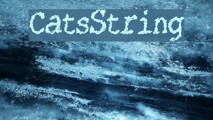 CatsString Example 2