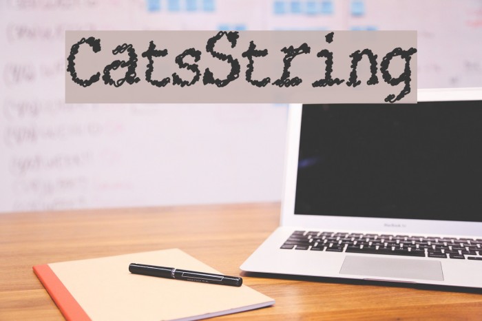 CatsString Example 3