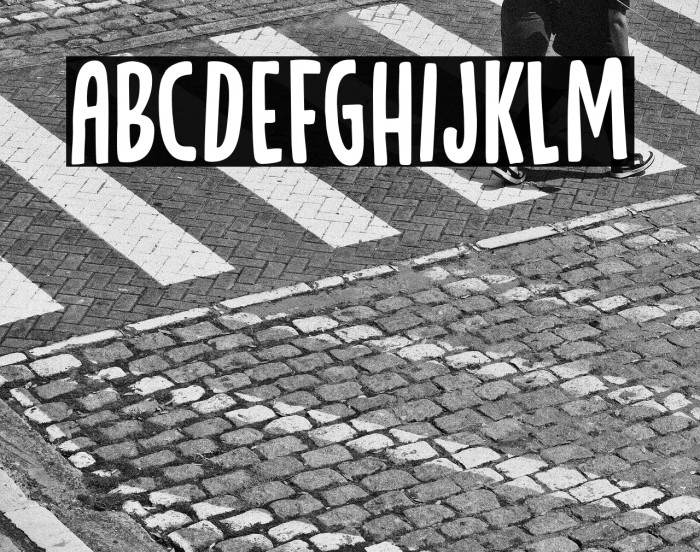 CatskinDEMO-Regular Example 2