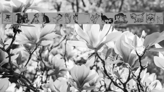 CattArt Font examples