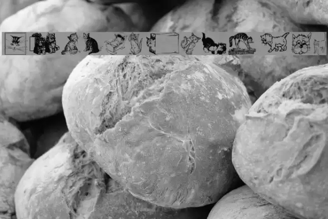 CattArt Font examples