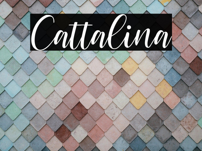 Cattalina Font examples